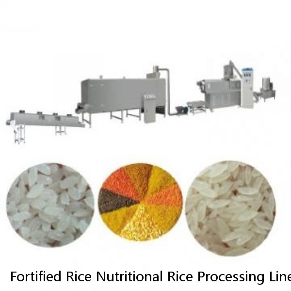 Fortified Rice Nutritional Rice Processing Line Price Nutrition Fortified Rice Making Machine Manufacturer for Sell