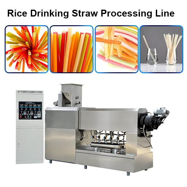 Stainless Steel 100 Kg/H Stainless Steel Fully Automatic Macaroni Pasta Making Machine Degradable Straw Making Machine