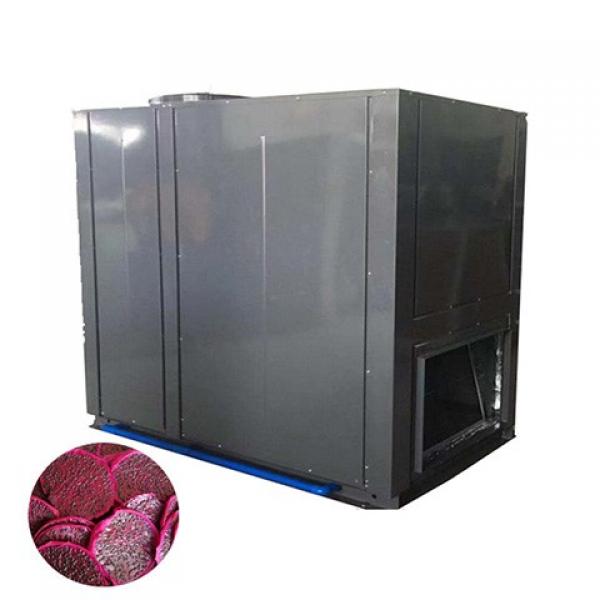 Large Industrial Continuous Microwave Fruit Vegetable Dehydrator