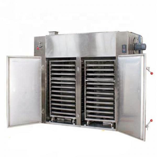 Food Automatic Box-Type Drying Equipment Hot Air Lemon Drying Oven