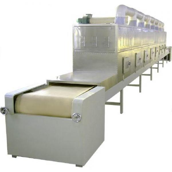 Large Industrial Continuous Microwave Belt Dryer
