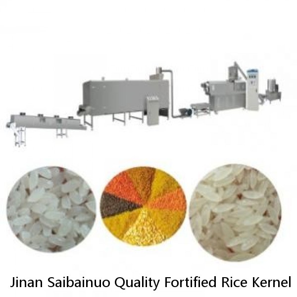 Jinan Saibainuo Quality Fortified Rice Kernel Making Machine Frk Nutritional Instant Artificial Rice Processing Maker Line
