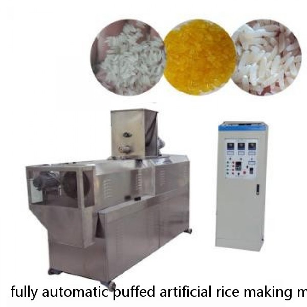 fully automatic puffed artificial rice making machine with best price